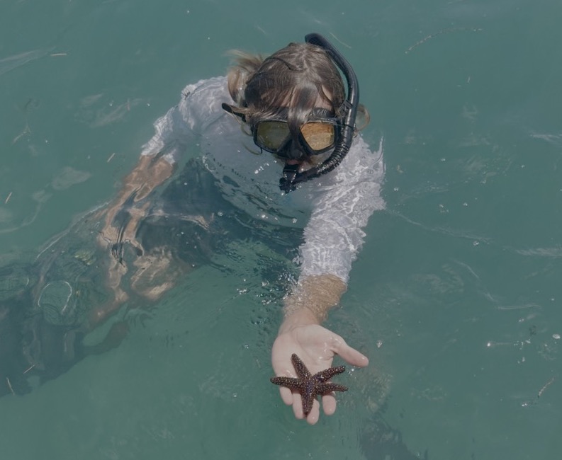 Key West Snorkeling Trips