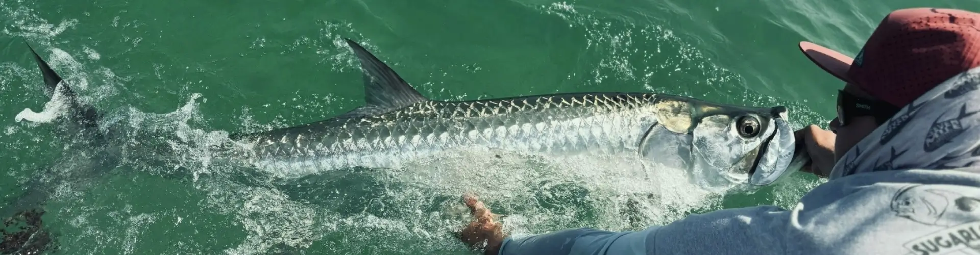 Sportfishing Tips & Info