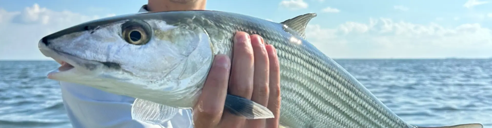 Key West Fishing Charters