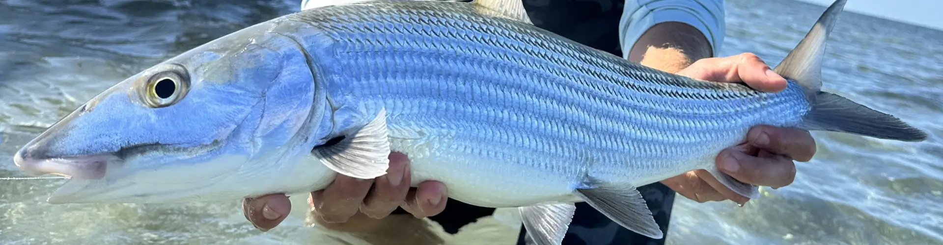 Fishing Charters & Boat Tours in Key West